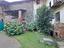 Immagine 26