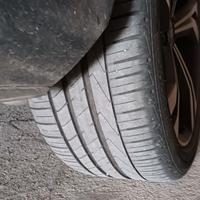 Gomme estive