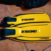Omersub Icarus Pinne Sub