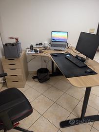 Scrivania Angolare IKEA 160x110 + Cassettiera Alex