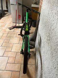 Mintainbike Cube
