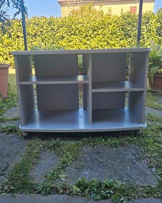 Mobile TV
