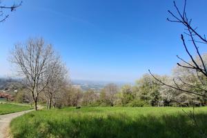 Terreno agricolo panoramico a Colle Brianza - mq 3