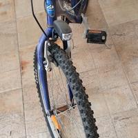 Bici Mountain bike 24