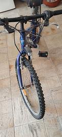 Bici Mountain bike 24