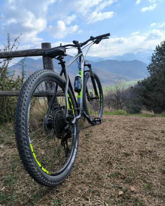 Bici olmo