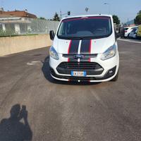 Ford costum