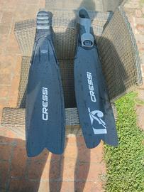 pinne pesca dub