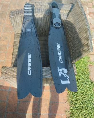 pinne pesca dub