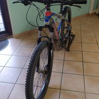 e-bike 