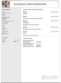 Barista macchinista si full time che extra