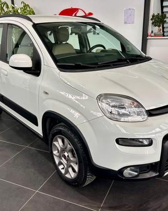 Fiat Panda 4x4 Panda 1.3 mjt 16v 4x4 s&s 95cv