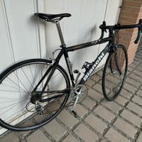 Bianchi XL CARBON