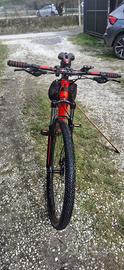 mountain bike