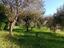 Immagine 19
