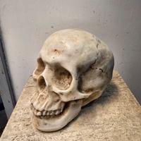 Testa morte d'epoca (Memento Mori)