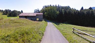 Terreni