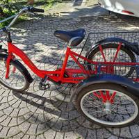 bicicletta tre ruote - triciclo