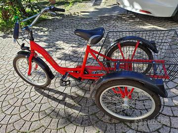 bicicletta tre ruote - triciclo