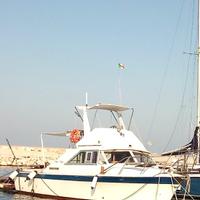 Barca motori entrobordo diesel natante