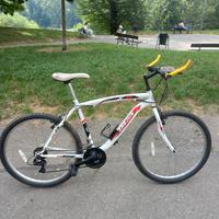 MTB. tutta originale.
