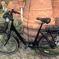 Bicicletta Elettrica