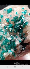 CRISTALLI DIOPTASE SU MATRICE