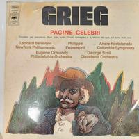 Disco vinile 
