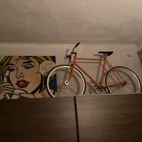 Bici scatto fisso e libero