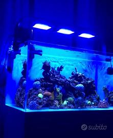 RADION G5 XR15 PRO x acquario con braccio