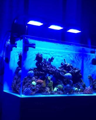 RADION G5 XR15 PRO x acquario con braccio