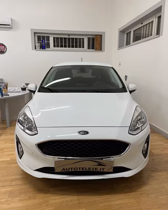 Ford Fiesta 1.1 75 CV 3 porte Van Trend