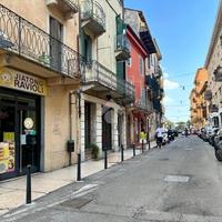 ATTIVITÀ A VERONA