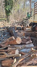 legna da ardere il boscaiolo 