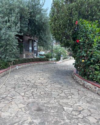 Villa zona trabia