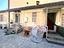 Immagine 11