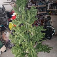albero di natale 