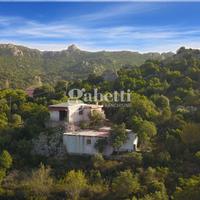 Magazzino Padru [Cod. rif 3244886VCG]