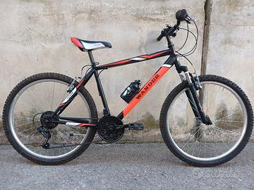 mountain bike ragazzo