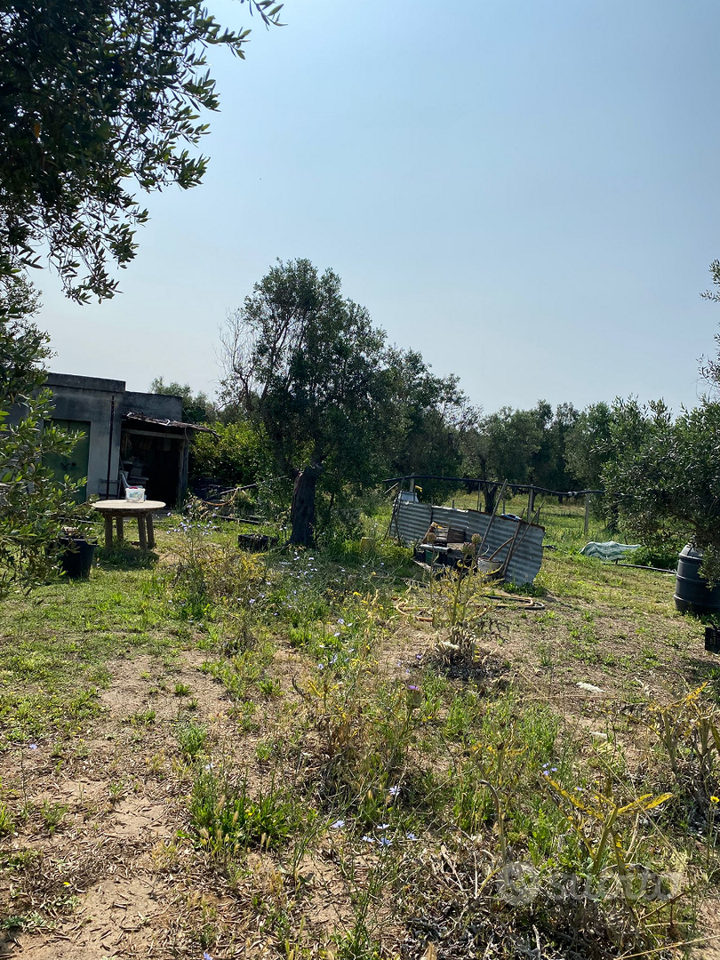 Terreno agricolo - View 3
