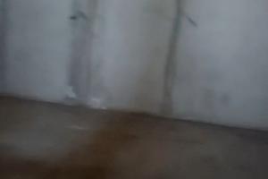 Rustico ambiente unico