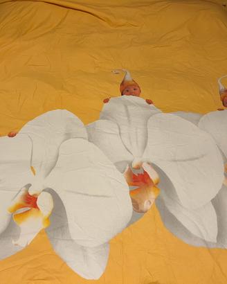 Trapuntina matrimoniale Anne Geddes