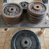 Dischi peso palestra