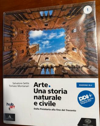 Arte. Una storia naturale e civile.