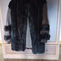 Pellicia dí castoro