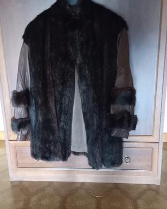 Pellicia dí castoro