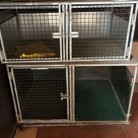 Trasportino Cani Doblo’