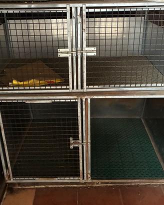 Trasportino Cani Doblo’