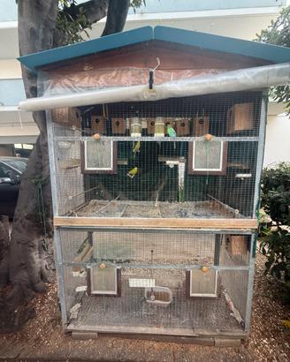 voliera con cocorita