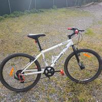 bicicletta